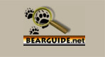 The Bear Guide